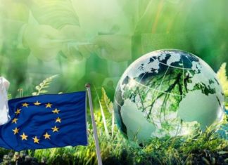 Green Mission in Giappone 2026: opportunità per PMI e cluster green europei